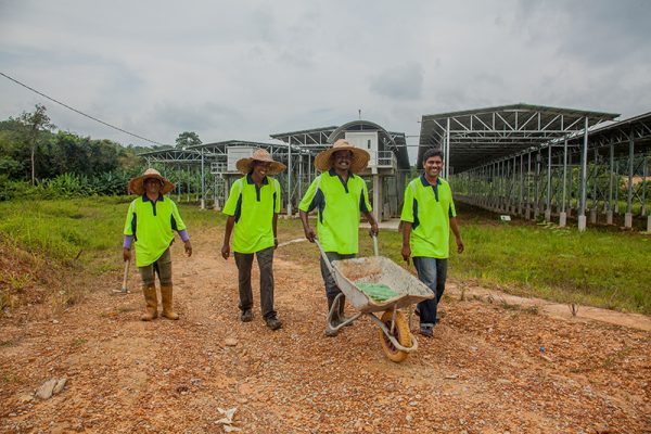 Eco Seido project - Matahari Kencana Tanjung Malim